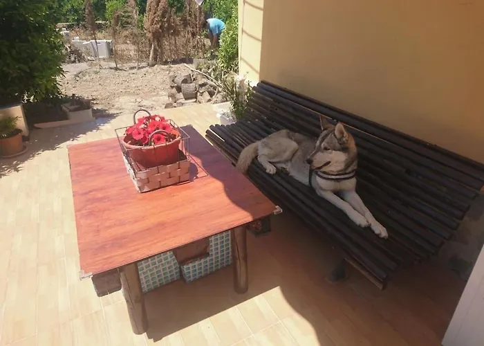 Casita Entre Naranjas